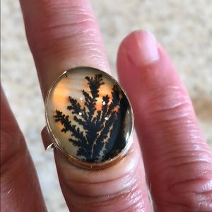 Jamie Joseph picture agate ring